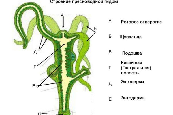 Ссылка на кракена для тора