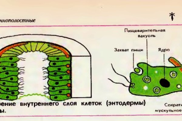 Что такое кракен сайт